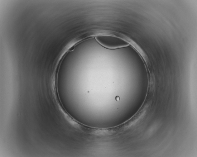 X0000111620909200907241027