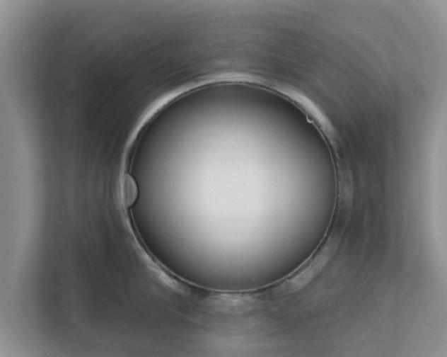 X0000111620910200907241027