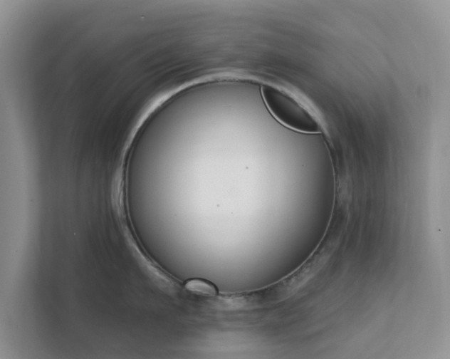 X0000111620911200907241027