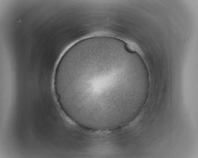X0000111620912200907241027