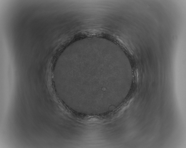 X0000111620913200907241027