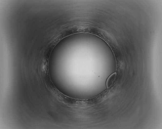 X0000111620914200907241027