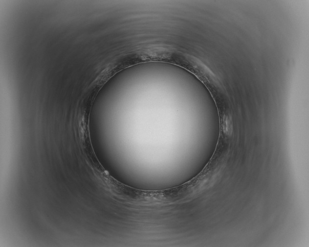 X0000111620915200907241027
