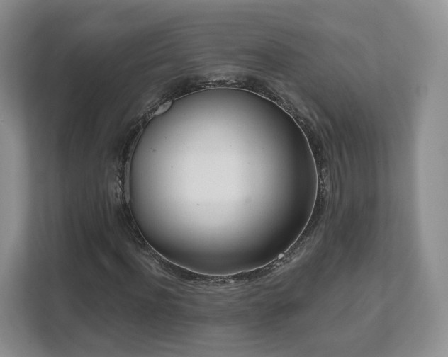X0000111620916200907241027