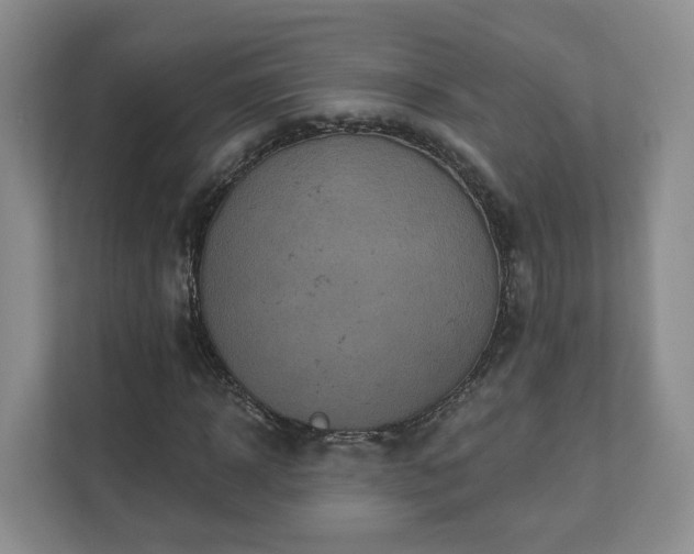 X0000111620918200907241027