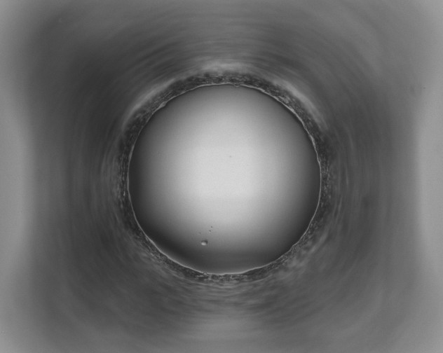 X0000111620919200907241027