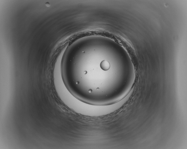 X0000111620920200907241027