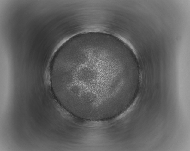 X0000111620925200907241027