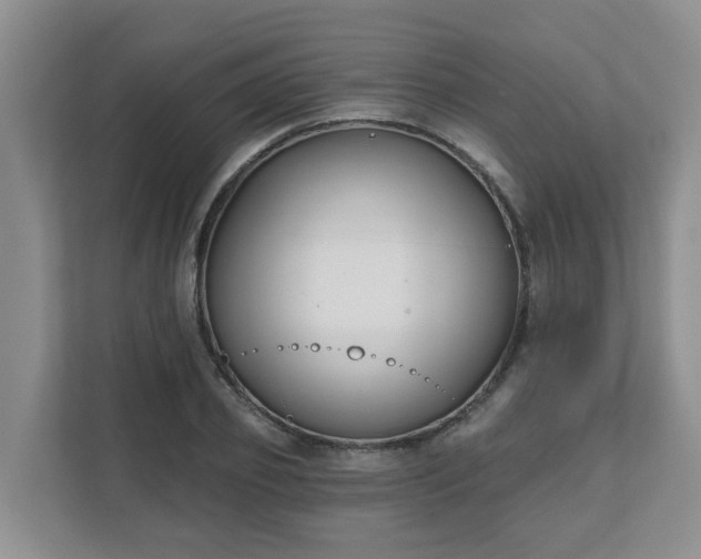 X0000111620933200907241027