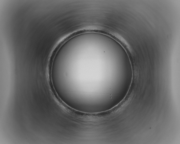 X0000111620935200907241027