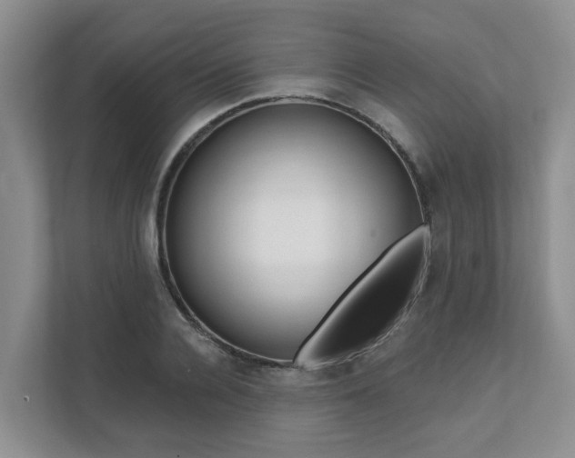 X0000111620936200907241027