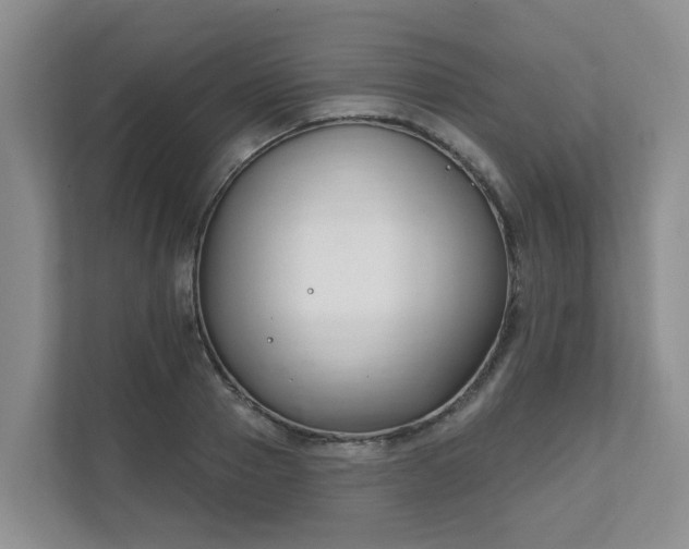 X0000111620937200907241027