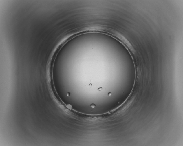 X0000111620939200907241027