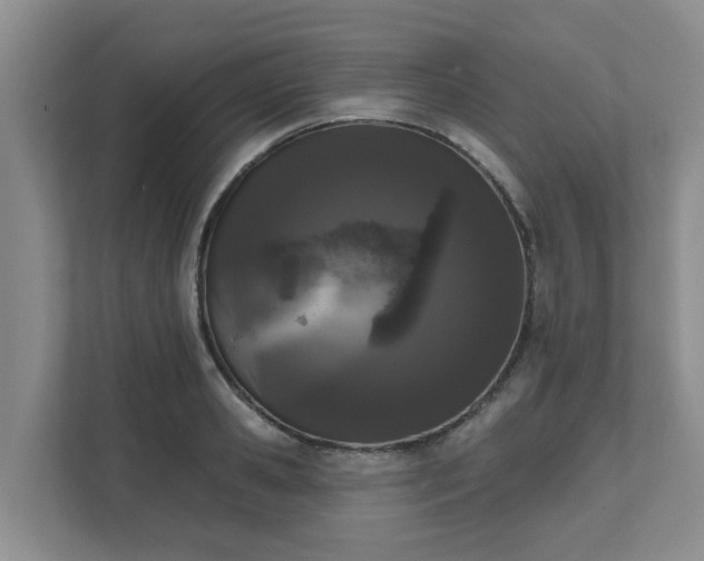 X0000111620941200907241027