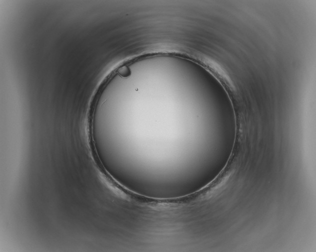 X0000111620942200907241027