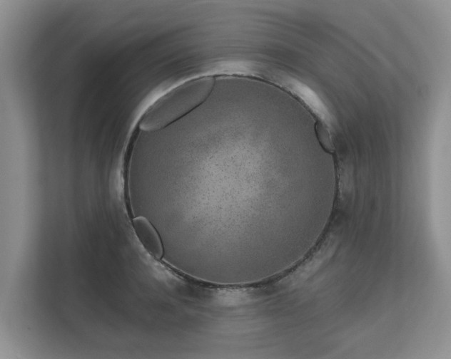 X0000111620944200907241027