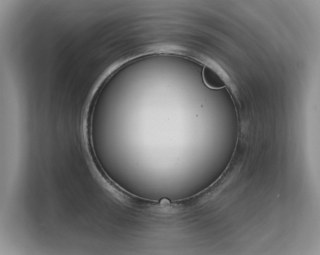 X0000111620947200907241027
