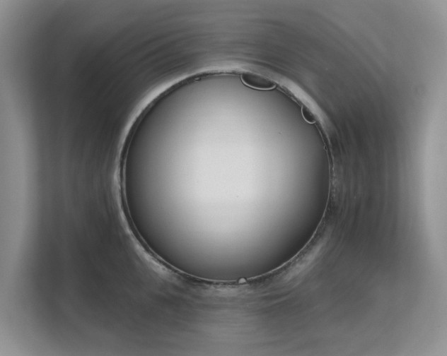 X0000111620951200907241027