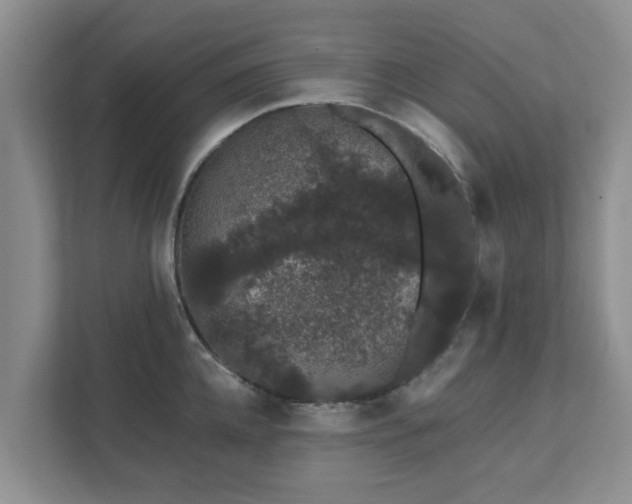 X0000111620952200907241027