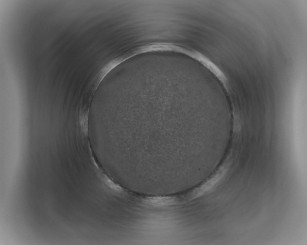 X0000111620953200907241027