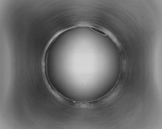 X0000111620955200907241027