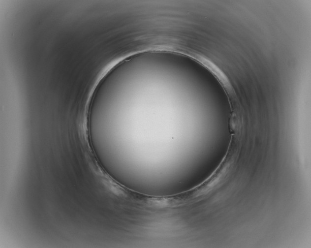 X0000111620956200907241027