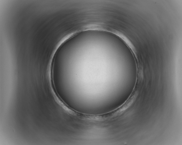 X0000111620957200907241027