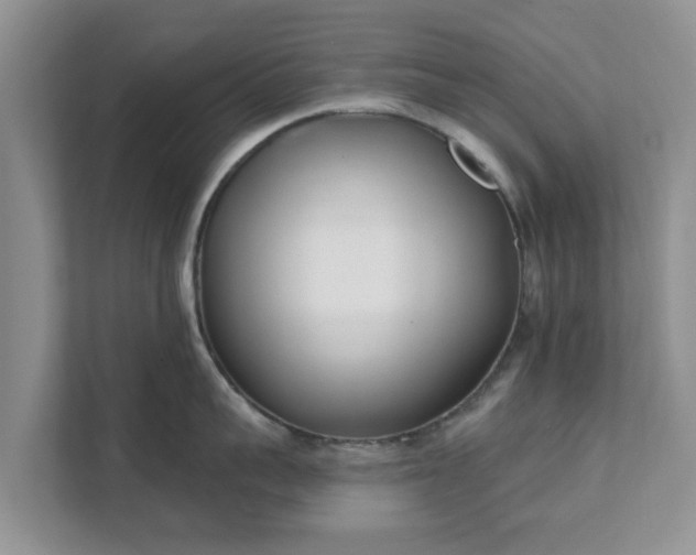 X0000111620959200907241027
