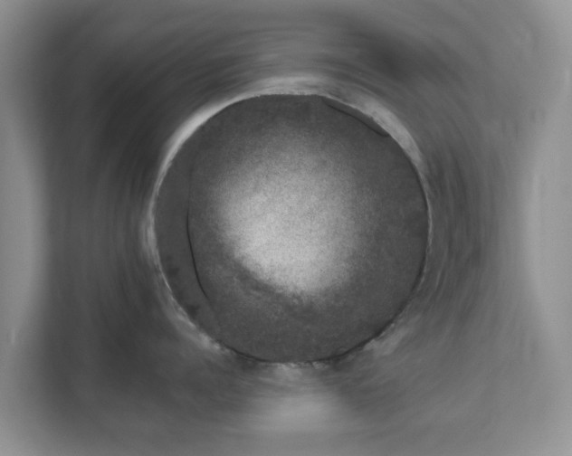 X0000111620960200907241027