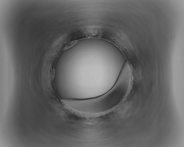 X0000111620961200907241027