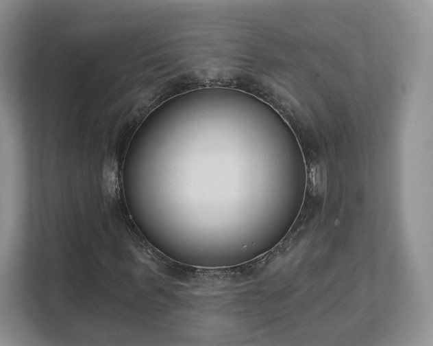 X0000111620963200907241027