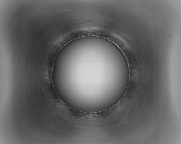 X0000111620966200907241027