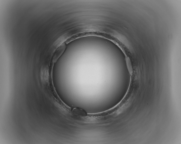 X0000111620969200907241027