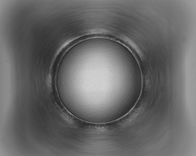 X0000111620975200907241027