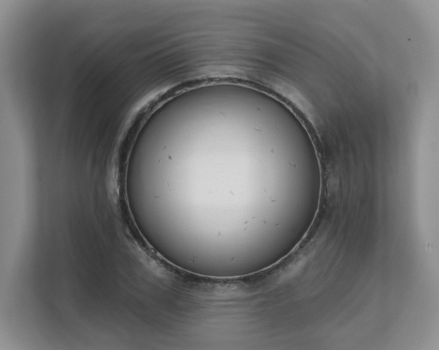 X0000111620979200907241026