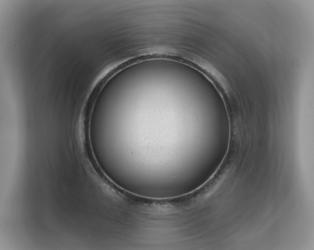 X0000111620983200907241026