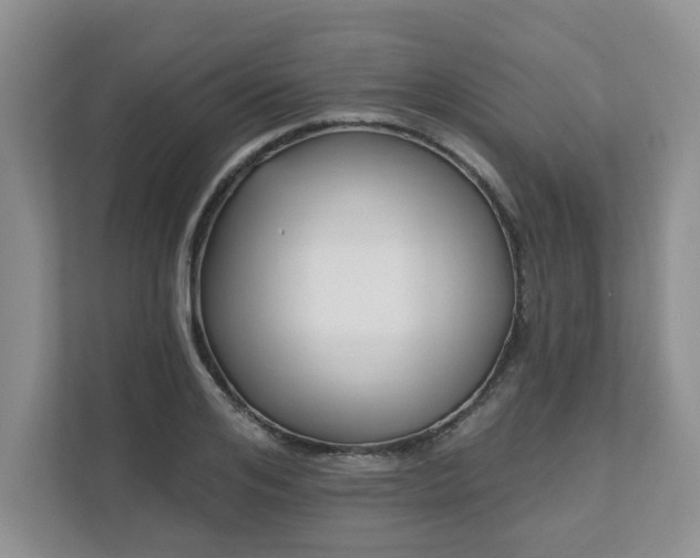 X0000111620984200907241026