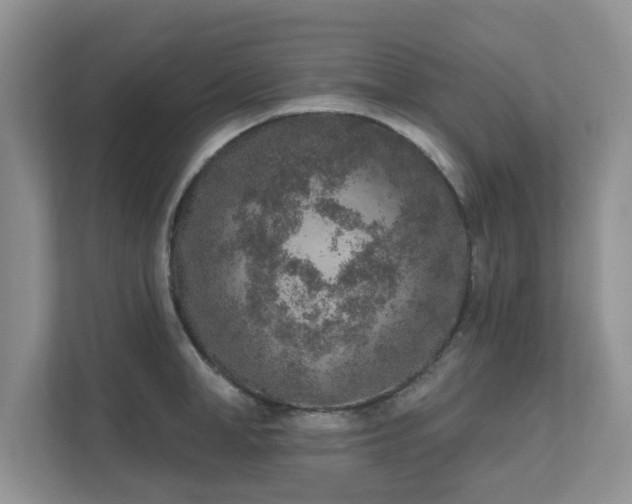 X0000111620998200907241026
