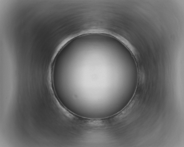 X0000111621006200907241026