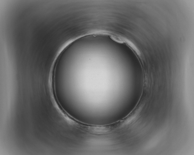 X0000111621007200907241026