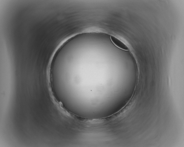 X0000111621008200907241026