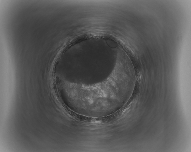 X0000111621009200907241025