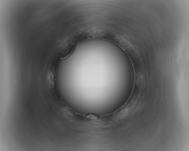 X0000111621010200907241025