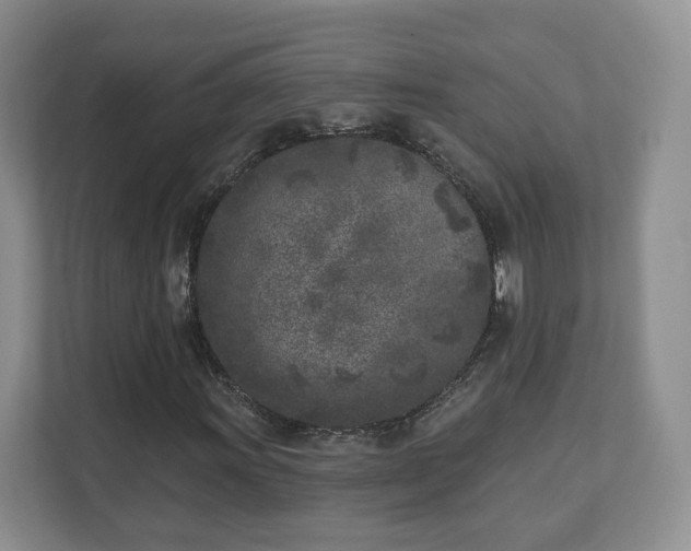 X0000111621011200907241025