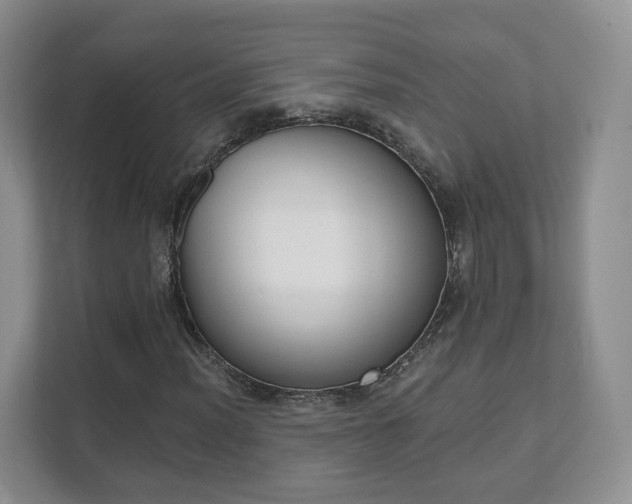 X0000111621012200907241025