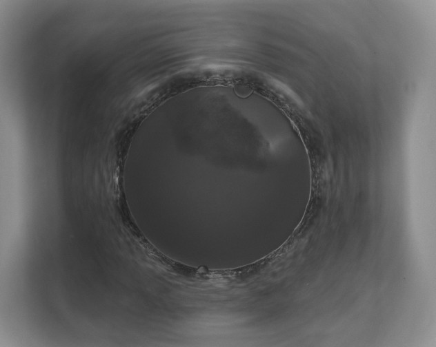 X0000111621013200907241026