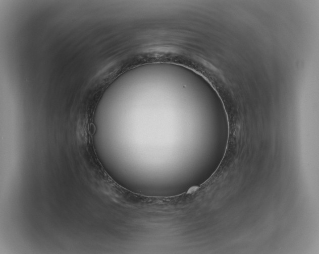 X0000111621014200907241026