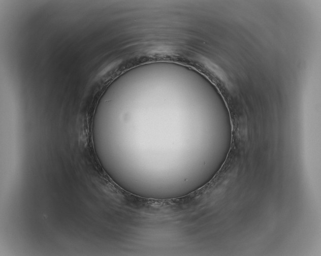 X0000111621015200907241026