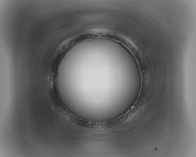 X0000111621016200907241026