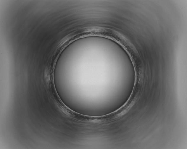 X0000111621017200907241026